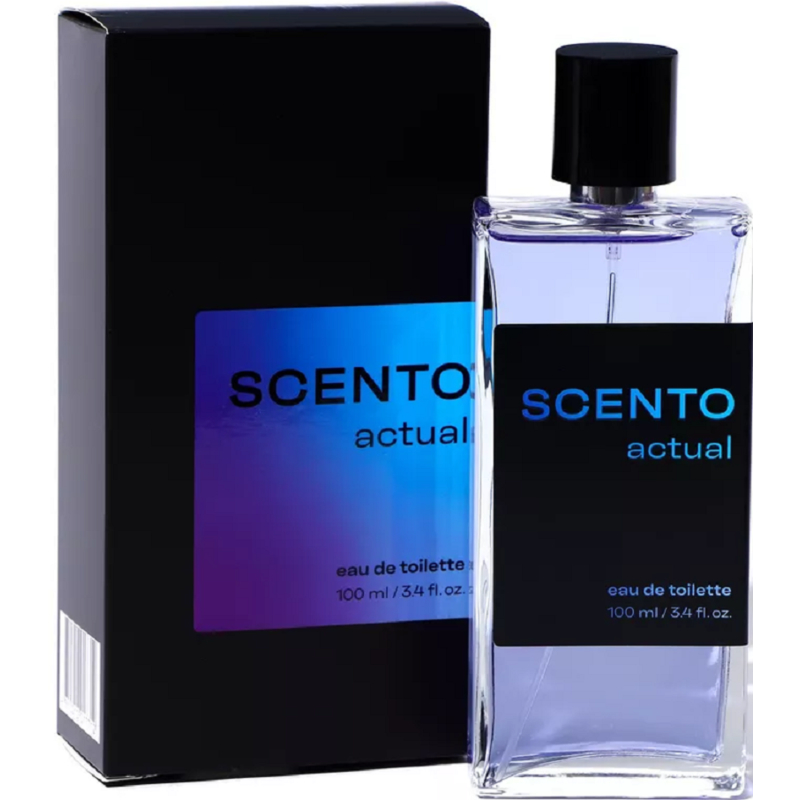 Dilis Т/в муж SCENTO Actual 90мл 