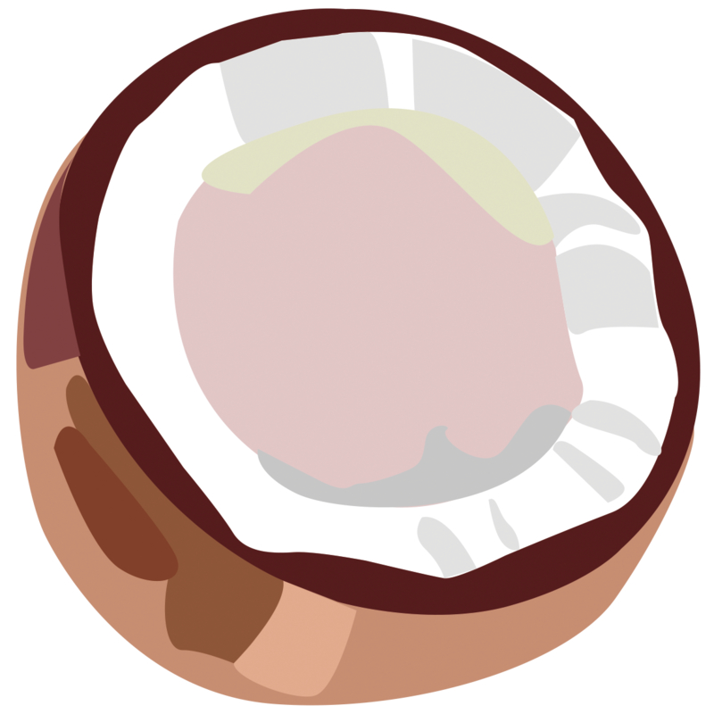 Relouis Бальзам-уход для губ iCARE lip balm coconut