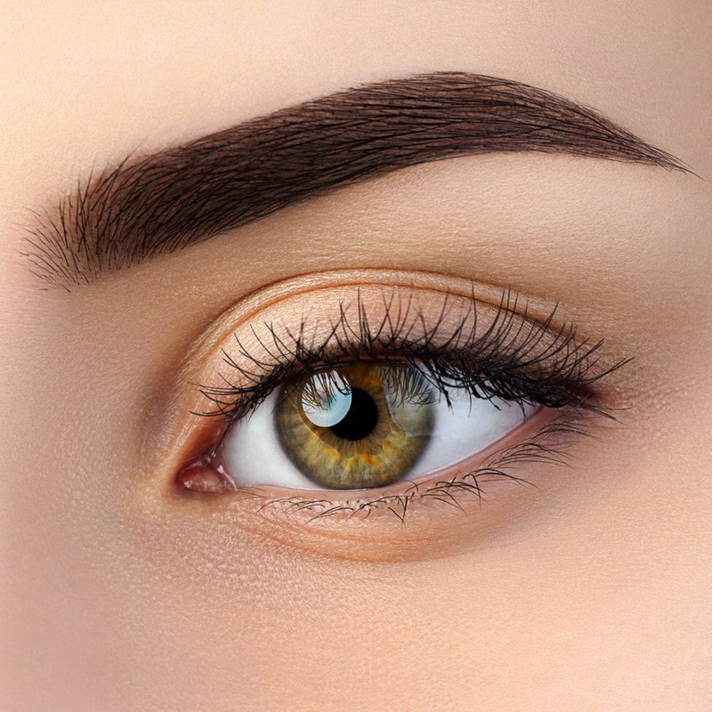 Relouis Тени д/бровей Brow Powder/тон тон 03 DARK  BROWN